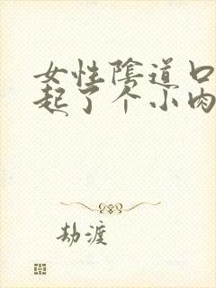 女性阴道口下面起了个小肉粒