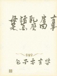 母猪乳房有紫斑是怎么回事