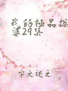 我的极品总裁老婆29集