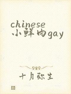 chinese小鲜肉gay