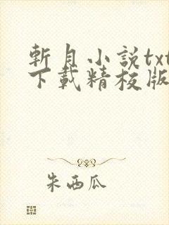 斩月小说txt下载精校版