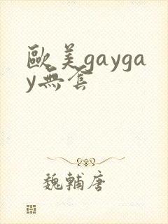 欧美gaygay无套