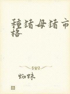 种猪母猪市场价格