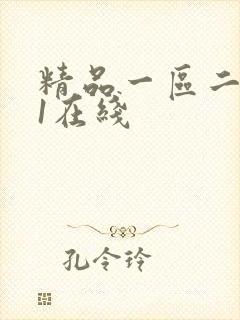 精品一区二区91在线