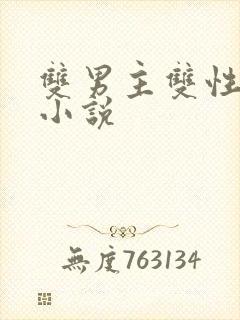 双男主双性父子小说