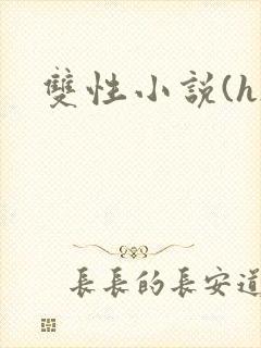 双性小说(h)