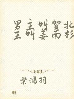 男主叫贺北峥女主叫姜南杉的小说