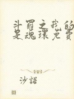 斗罗之我的武魂是魂环免费阅读