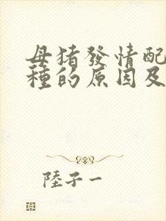 母猪发情配不上种的原因及处理办法