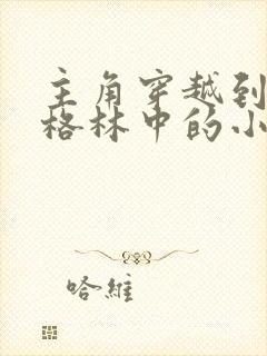 主角穿越到美剧格林中的小说