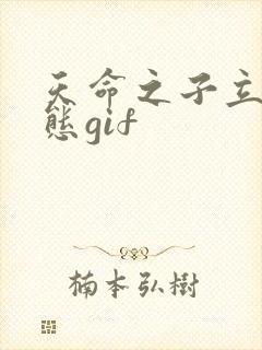天命之子立绘动态gif