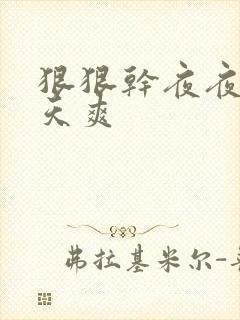 狠狠干夜夜操天天爽