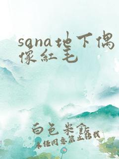 sana地下偶像红毛