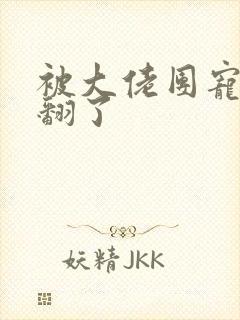 被大佬团宠我野翻了