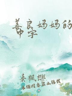 善良妈妈的朋友 中字