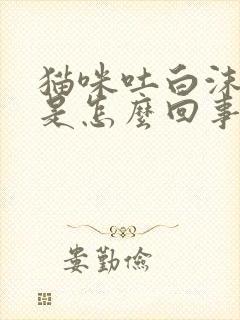 猫咪吐白沫拉稀是怎么回事