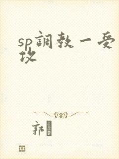 sp调教一受多攻