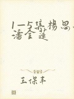 1—5集杨思敏潘金莲