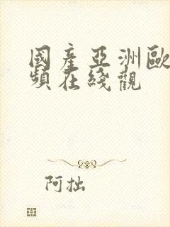 国产亚洲欧美视频在线观