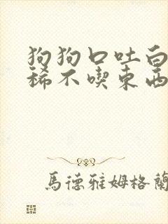 狗狗口吐白沫拉稀不吃东西怎么办