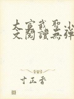 大宣武圣小说全文阅读无弹窗