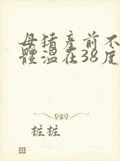 母猪产前不吃食体温在38度怎么办