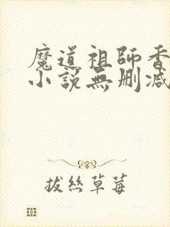 魔道祖师香炉篇小说无删减