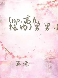 (np,高h,纯肉)男男小说