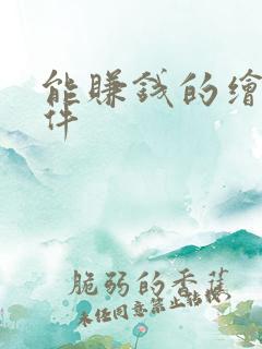 能赚钱的绘画软件