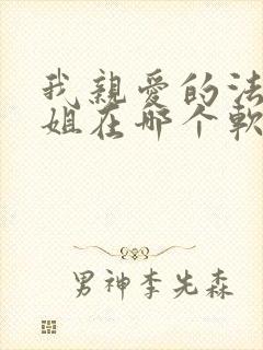 我亲爱的法医小姐在哪个软件看小说