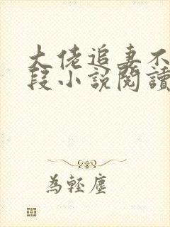 大佬追妻不择手段小说阅读全文