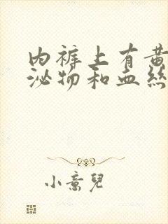 内裤上有黄色分泌物和血丝