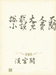 总裁大人不可以小说免费阅读