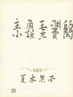 主角王渊的穿越小说免费阅读