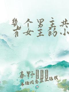 几个男主共同拥有女主的小说