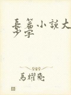 长篇小说大概多少字