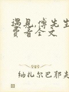 遇见,傅先生免费看全文