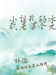 小说我的冰山总裁老婆全文阅读