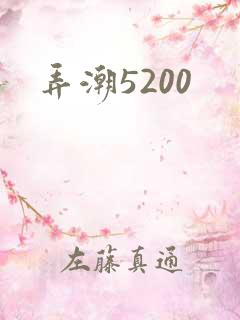 弄潮5200