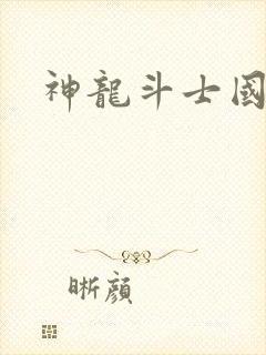 神龙斗士国语版