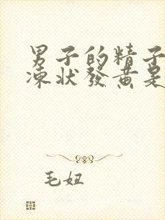 男子的精子呈果冻状发黄是怎么回事