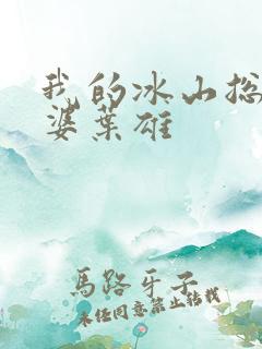 我的冰山总裁老婆叶雄