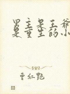 男主是王爷女主是重生的小说