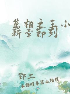 万相之王小说最新章节列