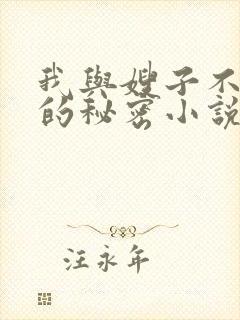 我与嫂子不能说的秘密小说