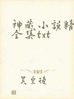 神藏小说精校版全集txt