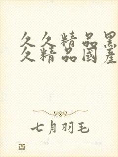 久久精品黑丝久久精品国产黑丝