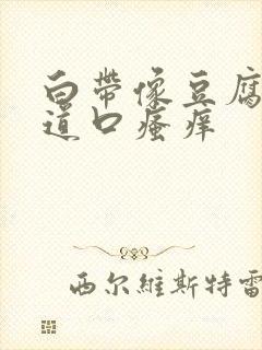 白带像豆腐渣阴道口瘙痒