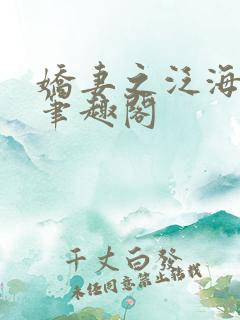 娇妻之泛海之舟笔趣阁