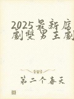 2025最新腐剧双男主剧